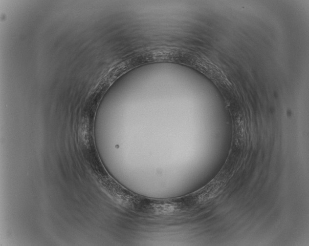 X0000073900698200609011718