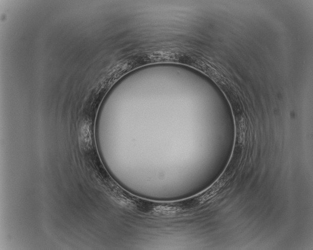 X0000073900699200609011718