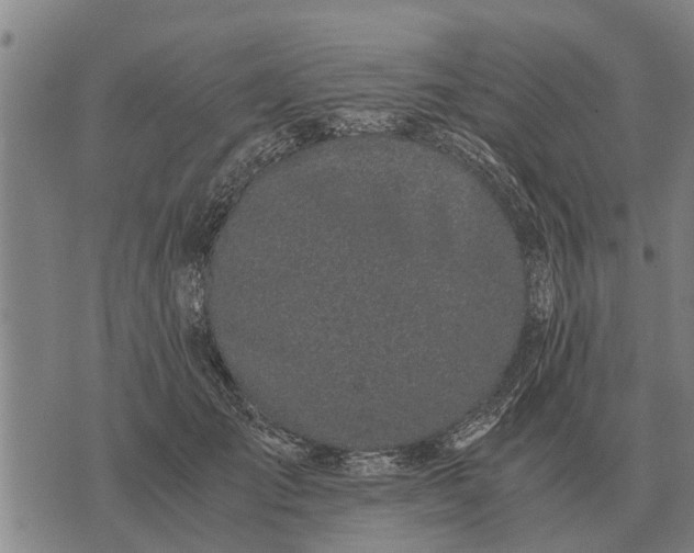 X0000073900701200609011718