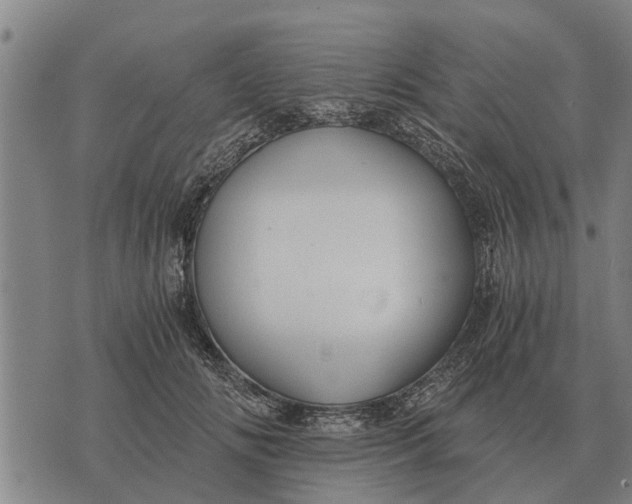 X0000073900702200609011718