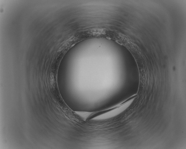 X0000073900704200609011718