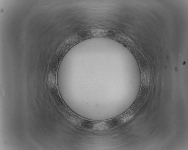 X0000073900705200609011718