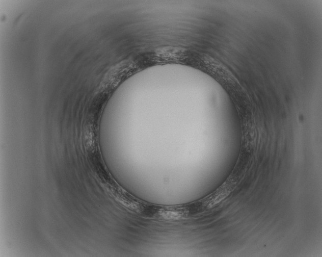 X0000073900706200609011718