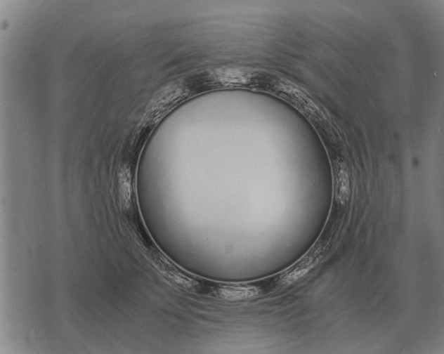 X0000073900707200609011718