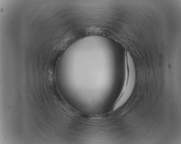 X0000073900708200609011718