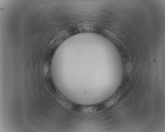 X0000073900709200609011718