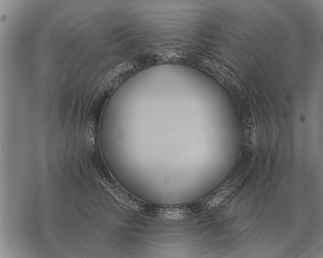 X0000073900710200609011718