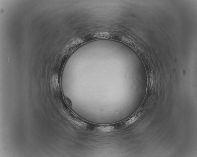 X0000073900711200609011718