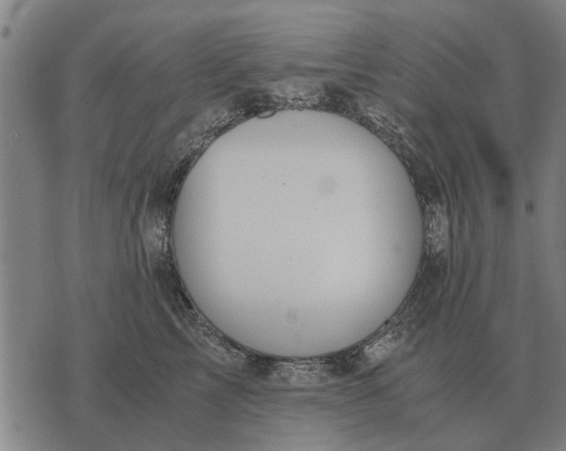 X0000073900713200609011718