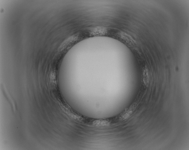 X0000073900714200609011718