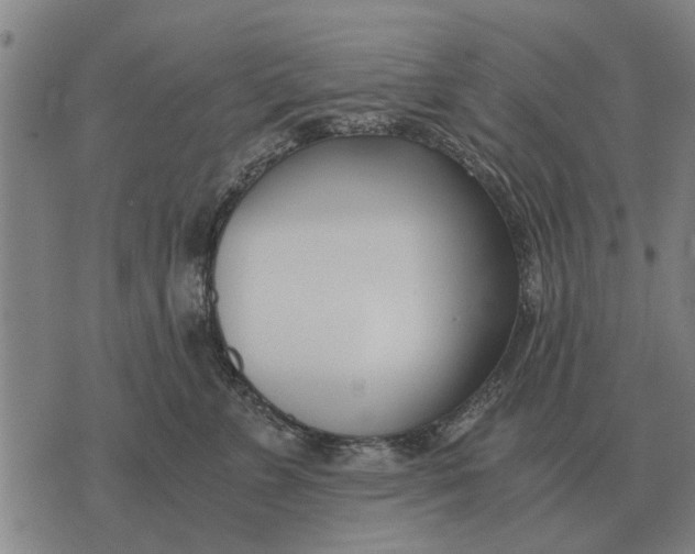 X0000073900715200609011718