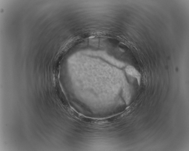 X0000073900716200609011718