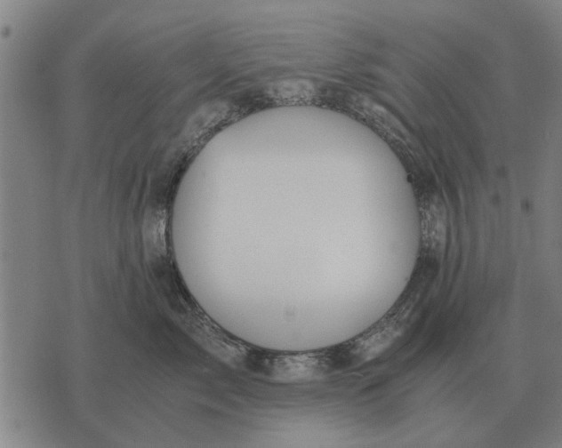 X0000073900717200609011718