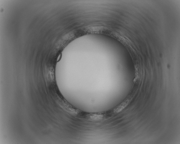 X0000073900718200609011718