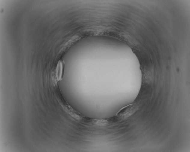 X0000073900719200609011718