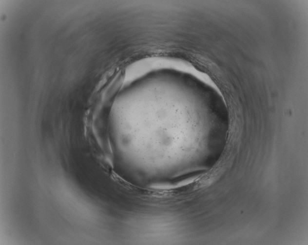 X0000073900720200609011718