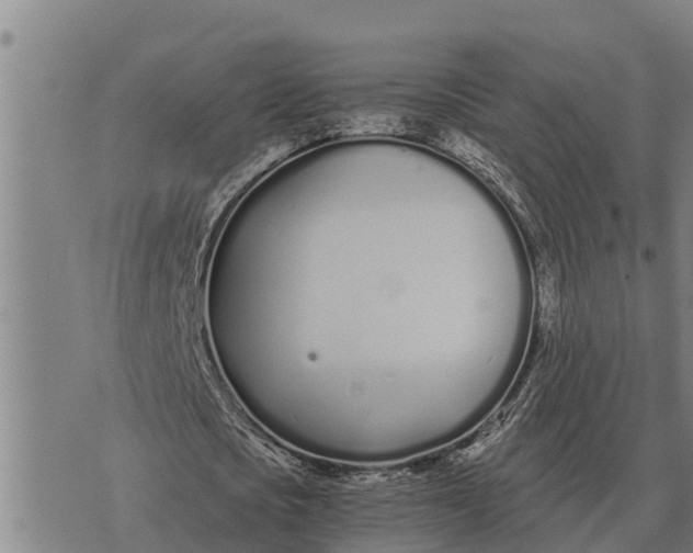 X0000073900721200609011717