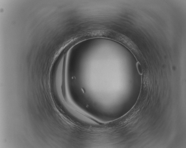 X0000073900722200609011717