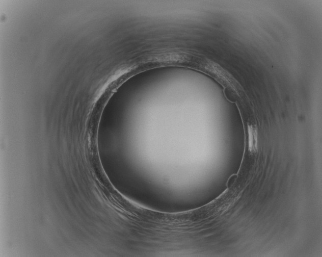 X0000073900723200609011717