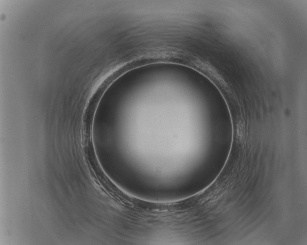 X0000073900724200609011717