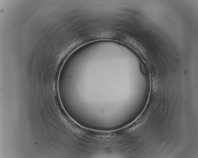 X0000073900725200609011717