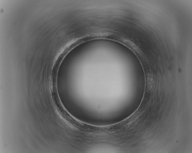 X0000073900726200609011717