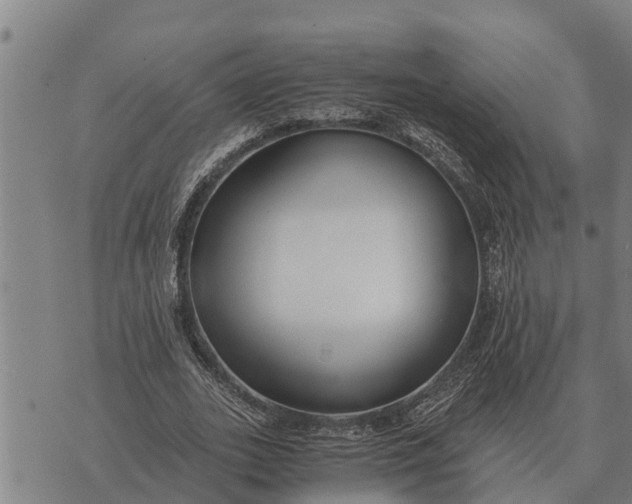 X0000073900727200609011717