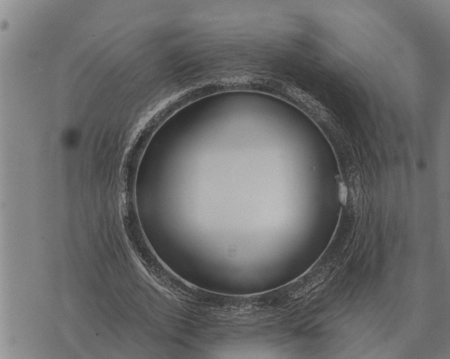 X0000073900728200609011717