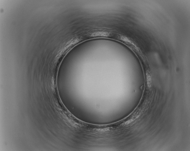 X0000073900729200609011717