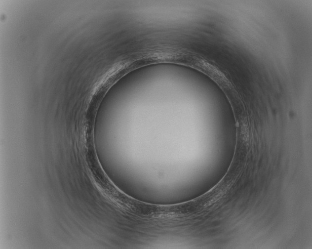 X0000073900730200609011718