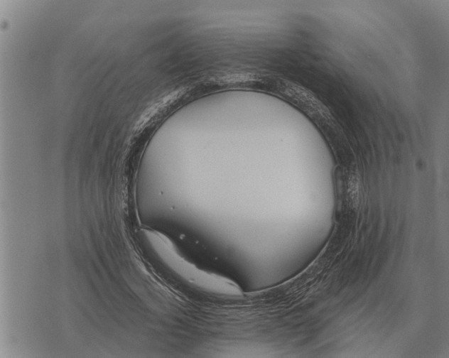 X0000073900732200609011718