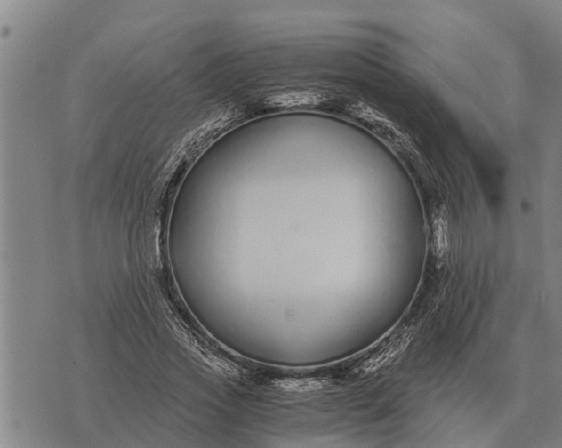 X0000073900733200609011718