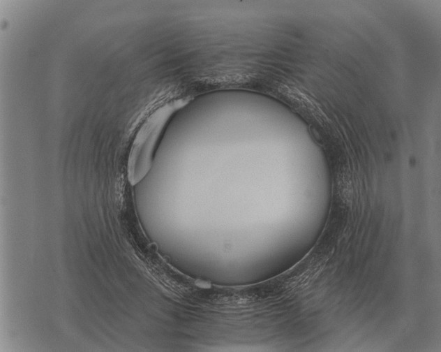 X0000073900735200609011718