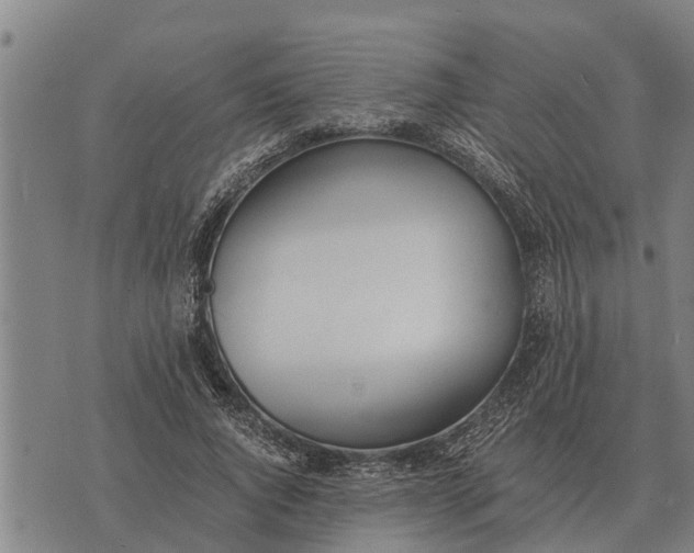 X0000073900736200609011718