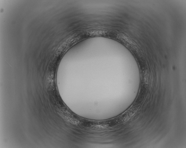 X0000073900737200609011718