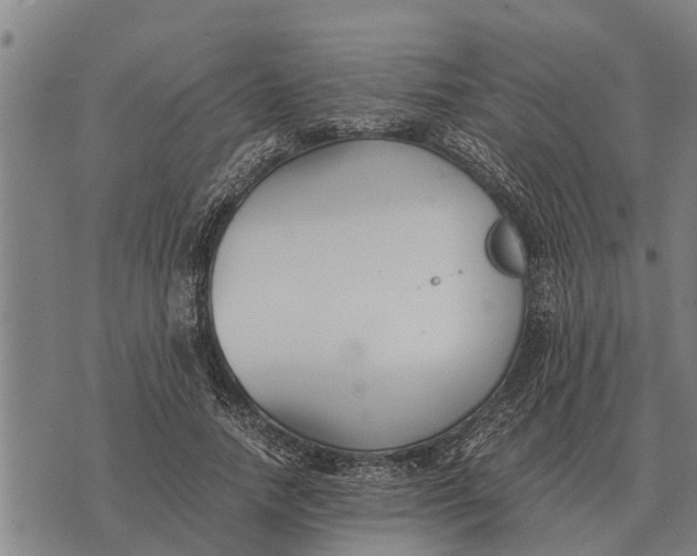 X0000073900738200609011718