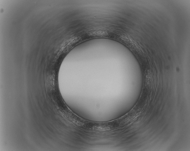 X0000073900739200609011718