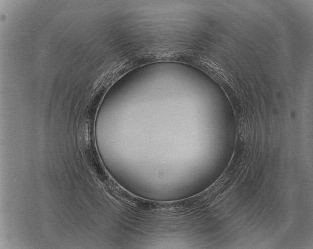 X0000073900740200609011718