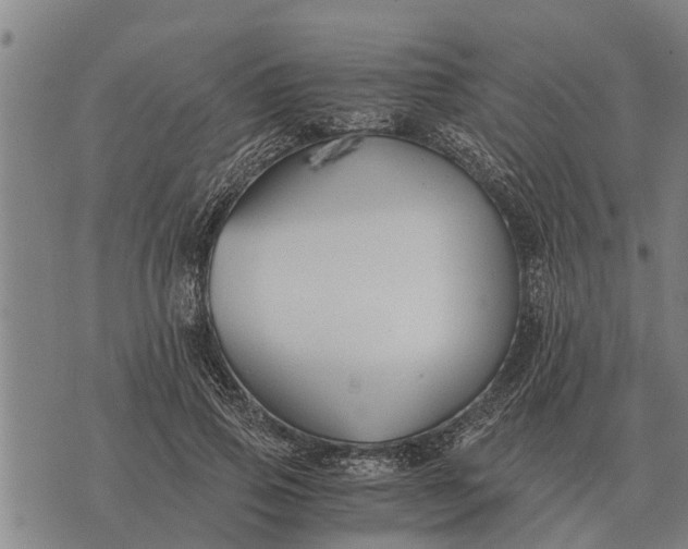 X0000073900741200609011718