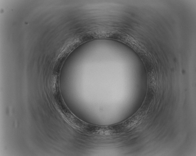 X0000073900742200609011718