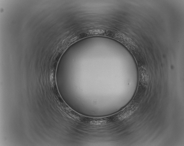 X0000073900745200609011718