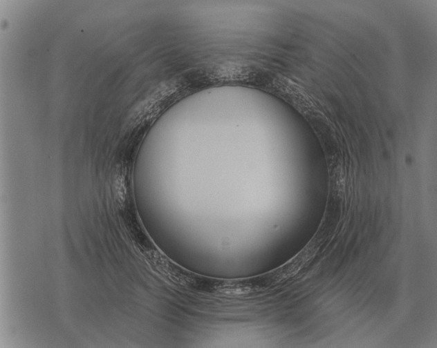 X0000073900746200609011718