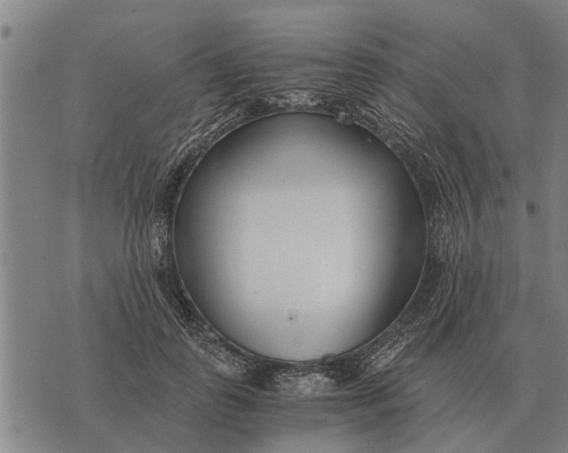 X0000073900747200609011718