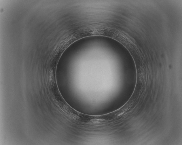 X0000073900748200609011718