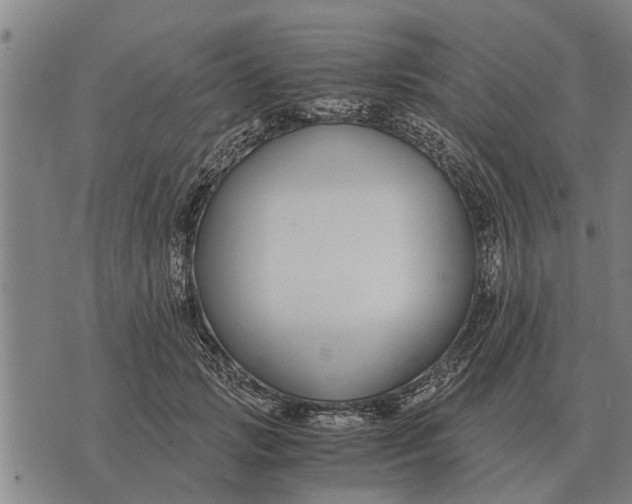 X0000073900749200609011718