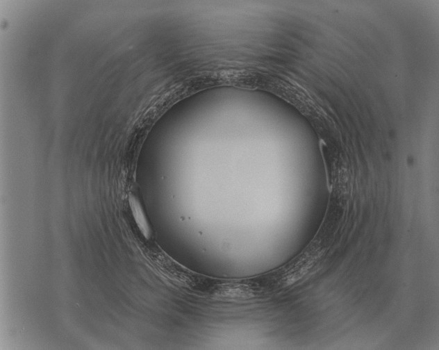 X0000073900750200609011718