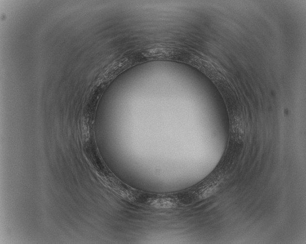 X0000073900751200609011718