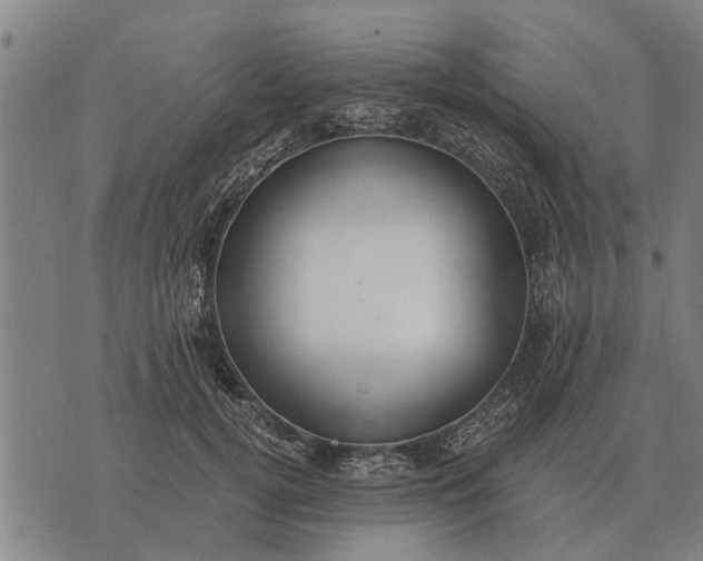 X0000073900752200609011718