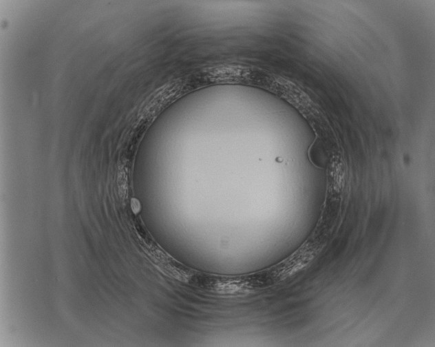 X0000073900753200609011718