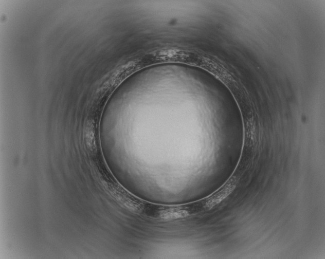 X0000073900754200609011718